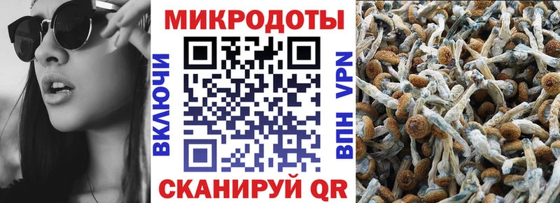 Псилоцибиновые грибы MAGIC MUSHROOMS Рубцовск